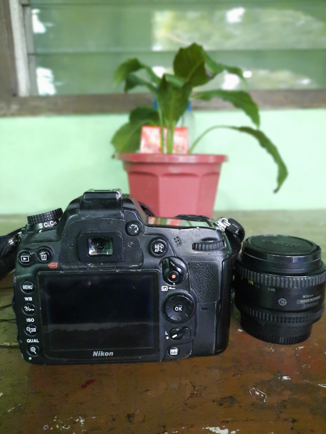 Nikon D7000 with 18-105mm lens and 50mm 1.8D lens AF
