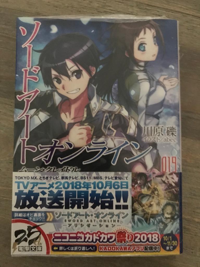 Sword Art Online 19 Light Novel Moon Cradle Ideas in 2022