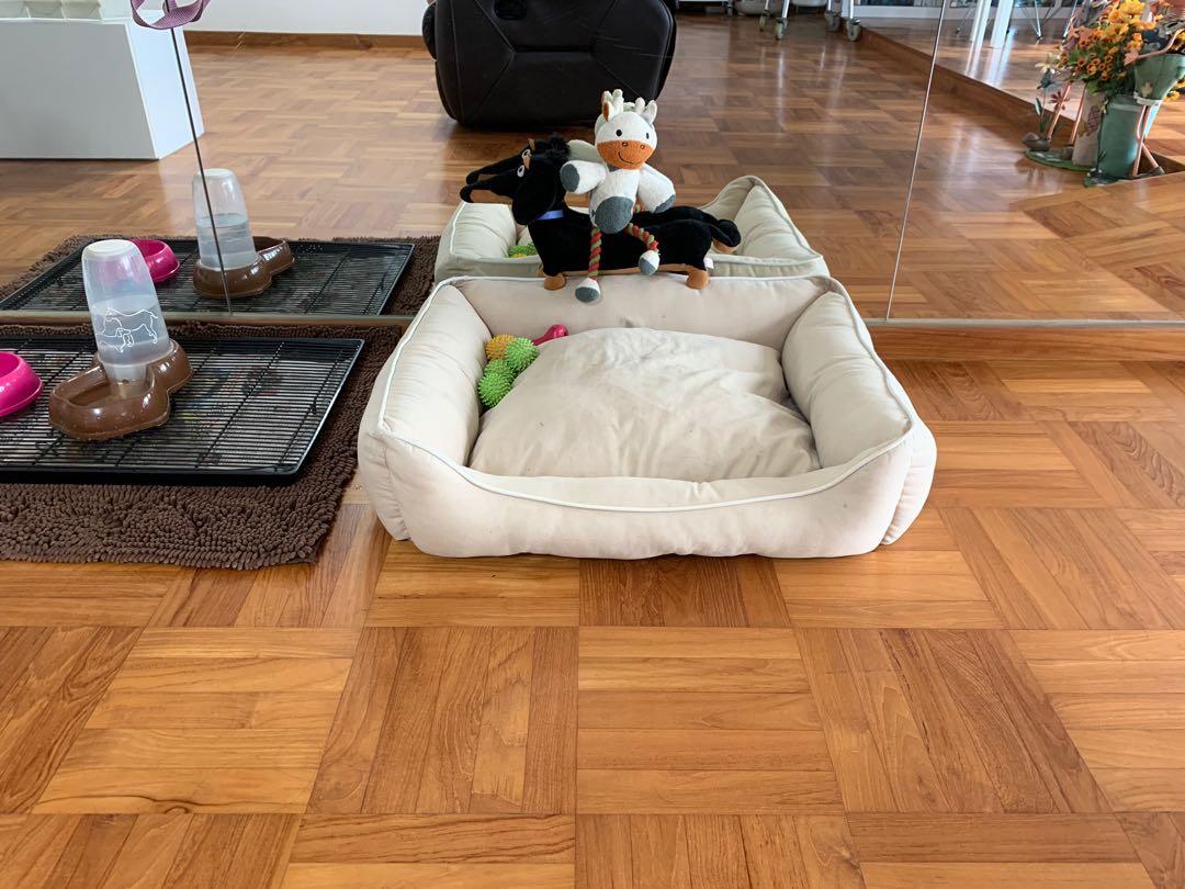 dog gone smart bed