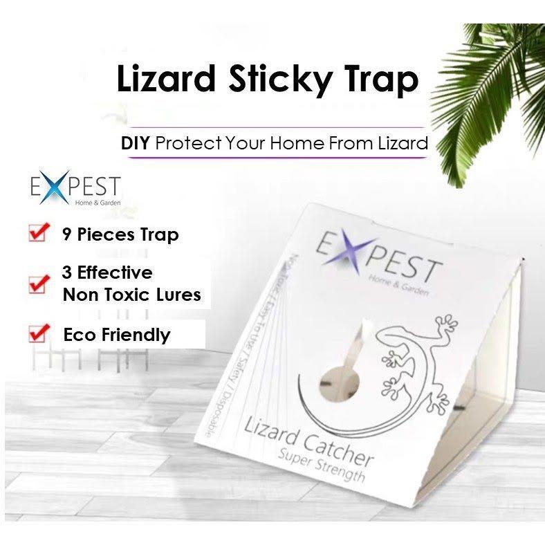 9 Pcs Lizard (Cicak/Gecko) Sticky Smart Trap / Lizard Killer DIY