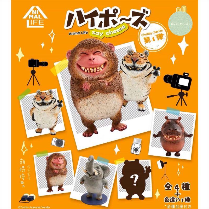 Animal Life Chubby Series 朝隈俊男圓滾滾系列笑嘻嘻say Cheese 拍照動物影相動物猴子馬騮大象河馬老虎盒蛋玩具公仔擺設figure 扭蛋 興趣及遊戲 玩具