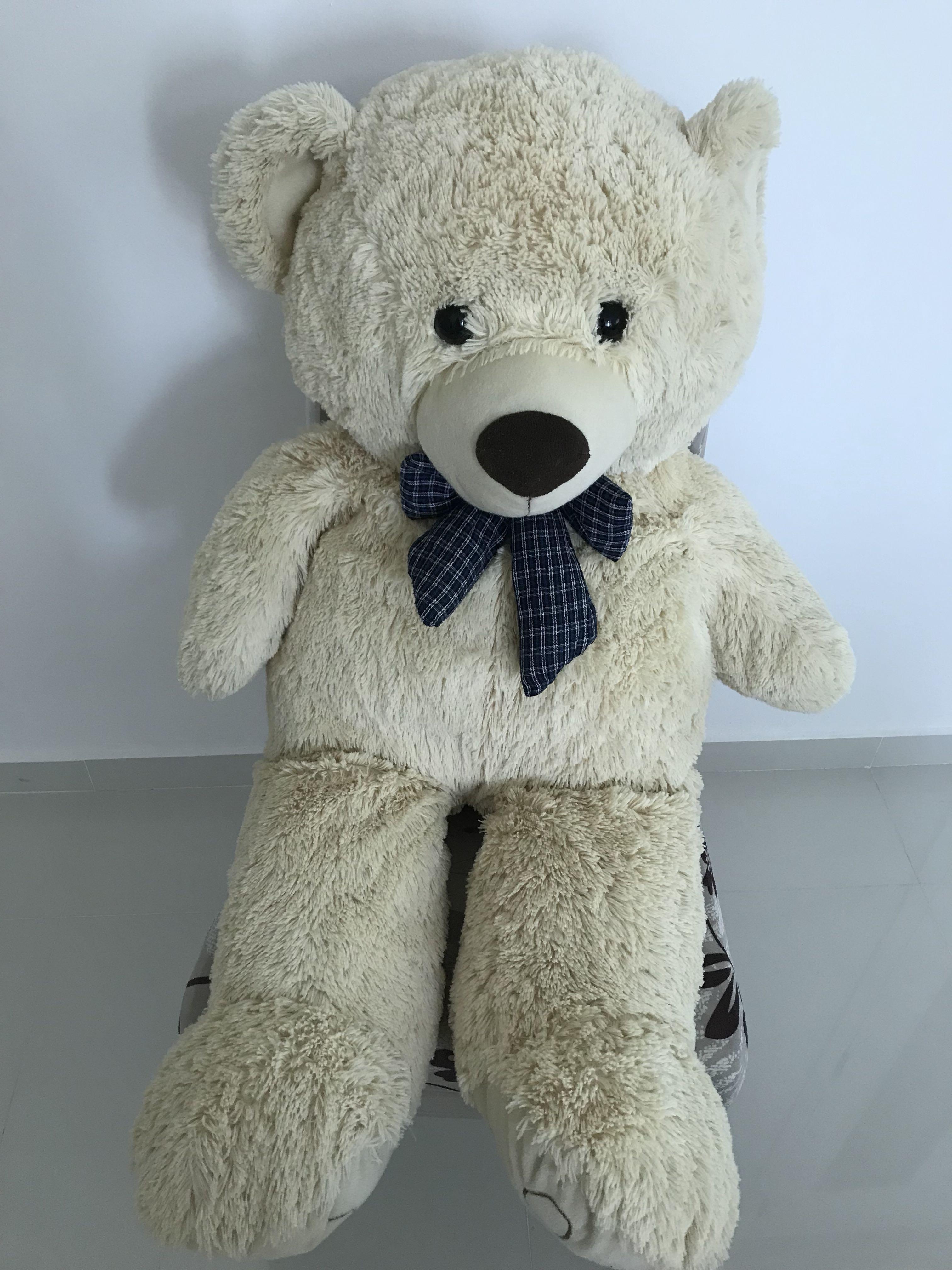 archies teddy bear big size