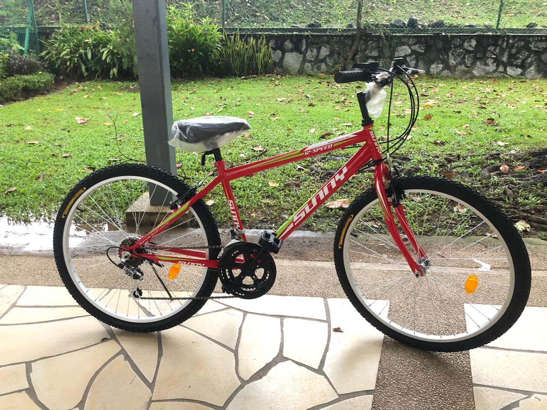 bicycle for adults with baby seat