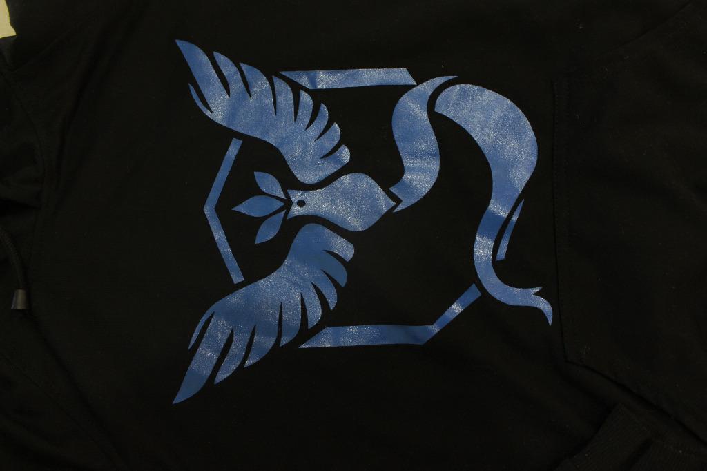 Team mystic hoodie hotsell