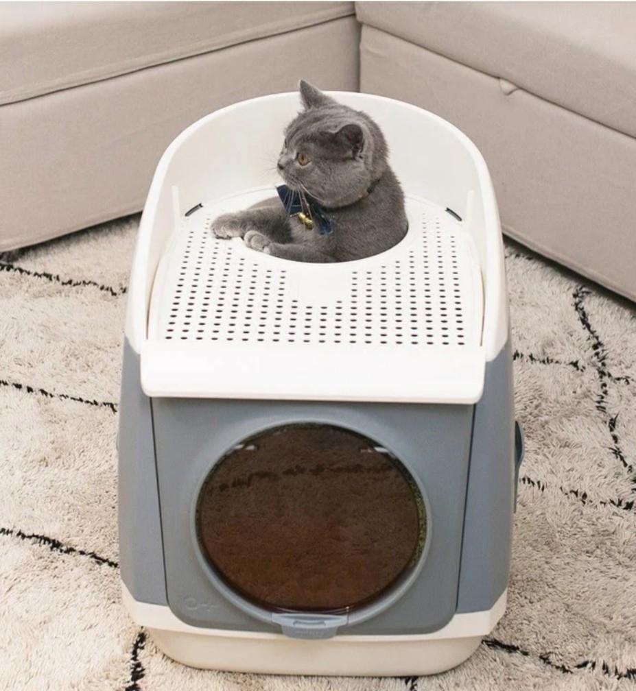 tom cat litter box