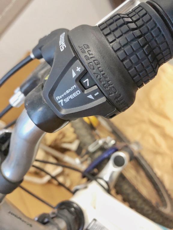 schwinn ranger 7 speed