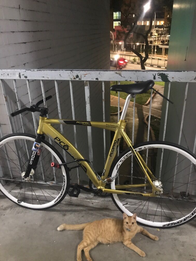 Fixie pco pro sales