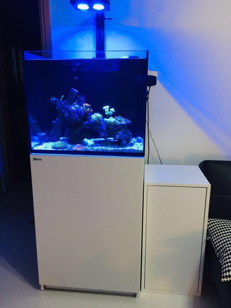 Red Sea Reefer 170 Aquarium Systems Pet Supplies Homes Other Pet Accessories On Carousell