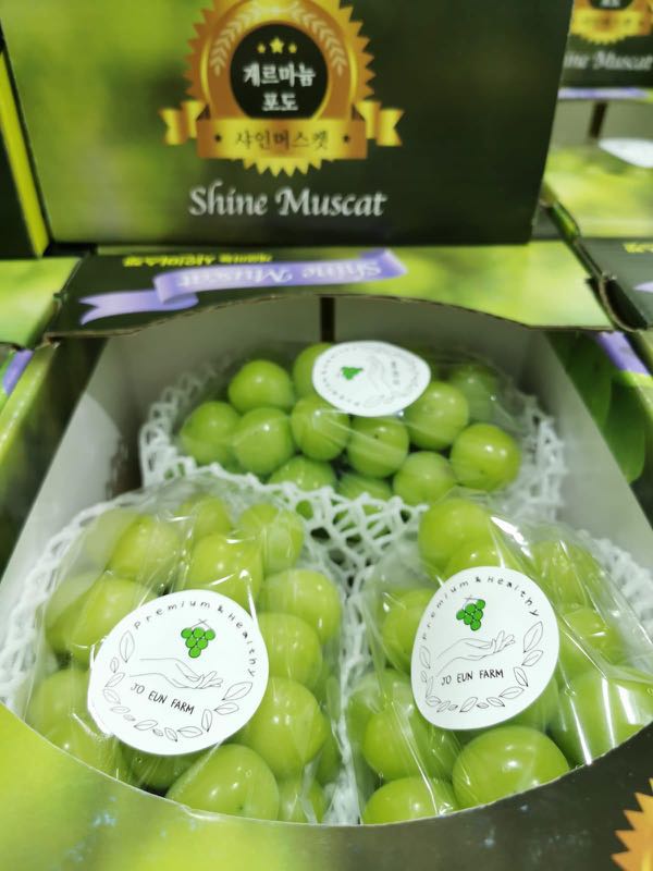 Shine Muscat Korean Premium Grapes, Everything Else on Carousell
