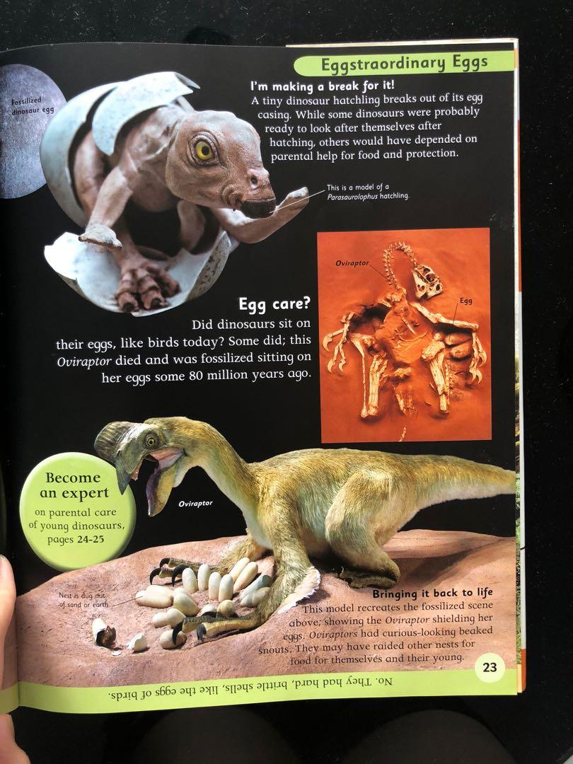 Dinosaurs, Hobbies & Toys, Books & Magazines, Children's Books On Carousell