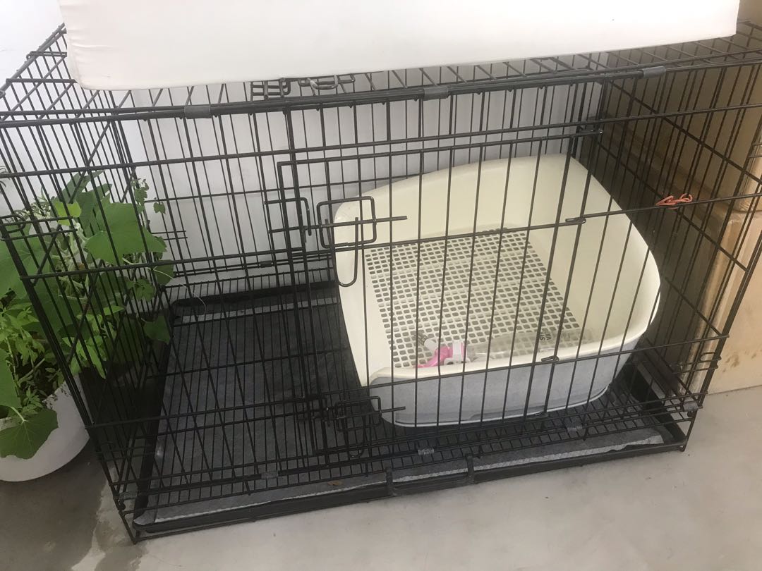 Dog Cage / Pee tray / water feeder, Pet Supplies, Homes & Other Pet