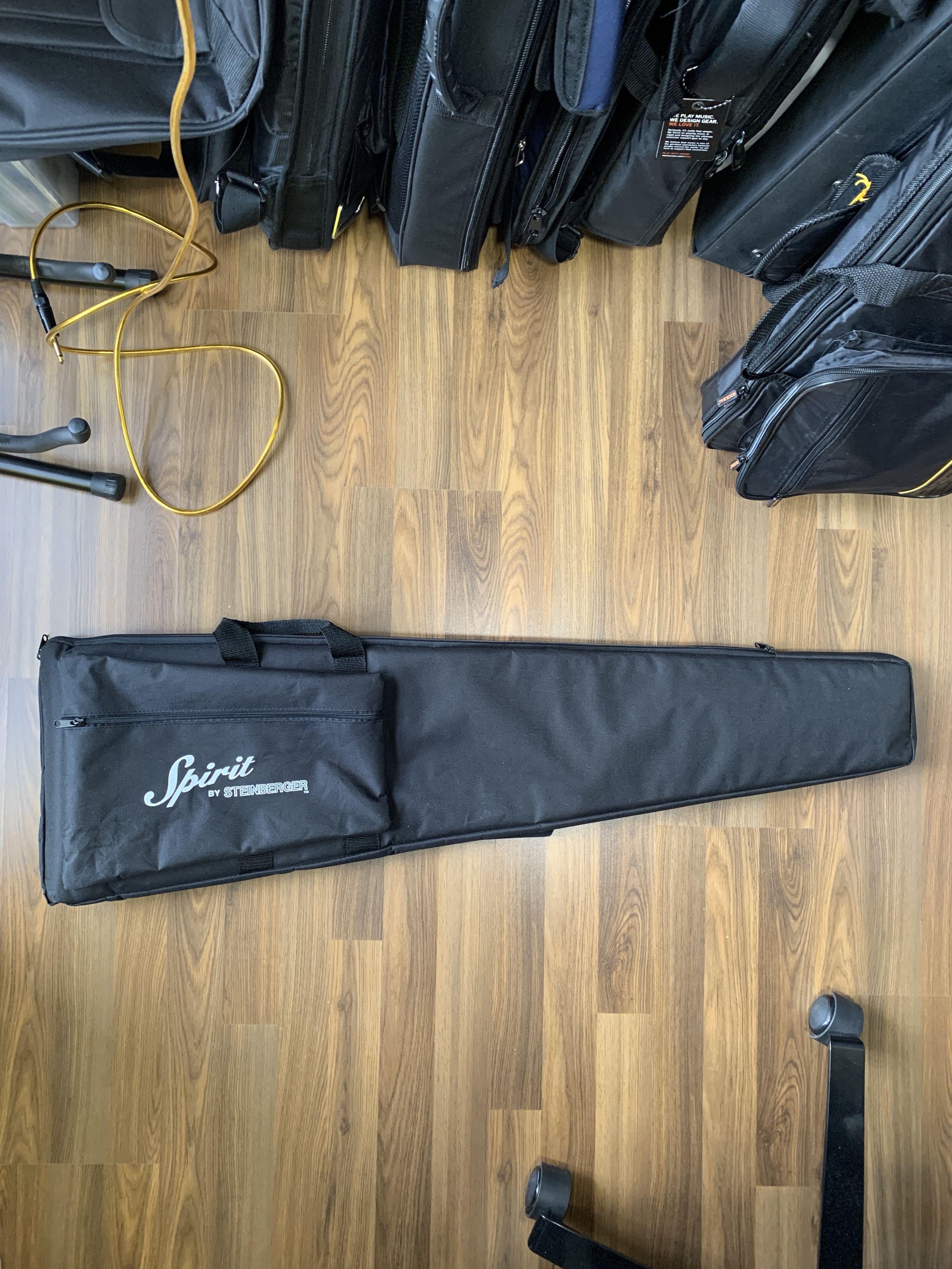 Steinberger gig bag clearance