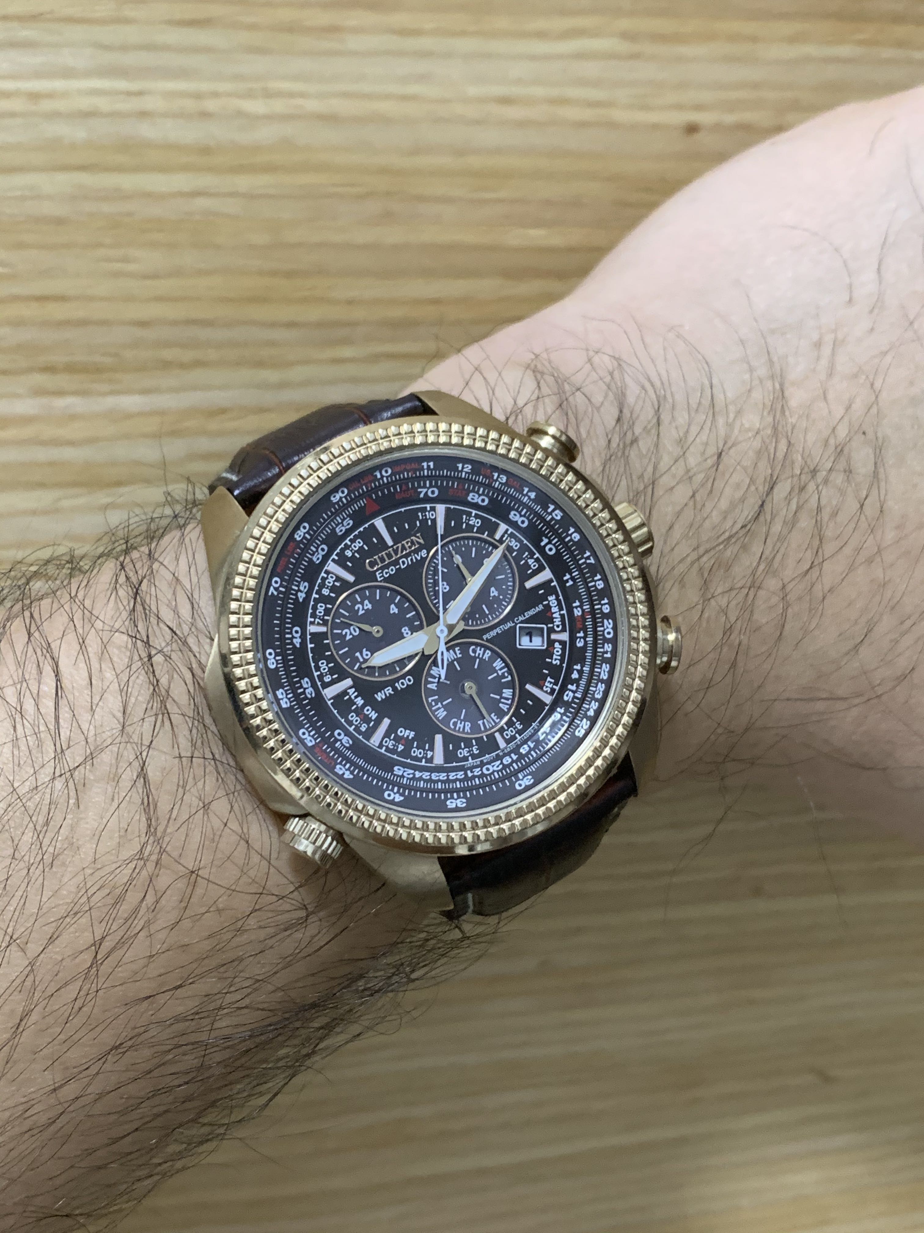 Citizen eco drive hotsell chronograph perpetual calendar