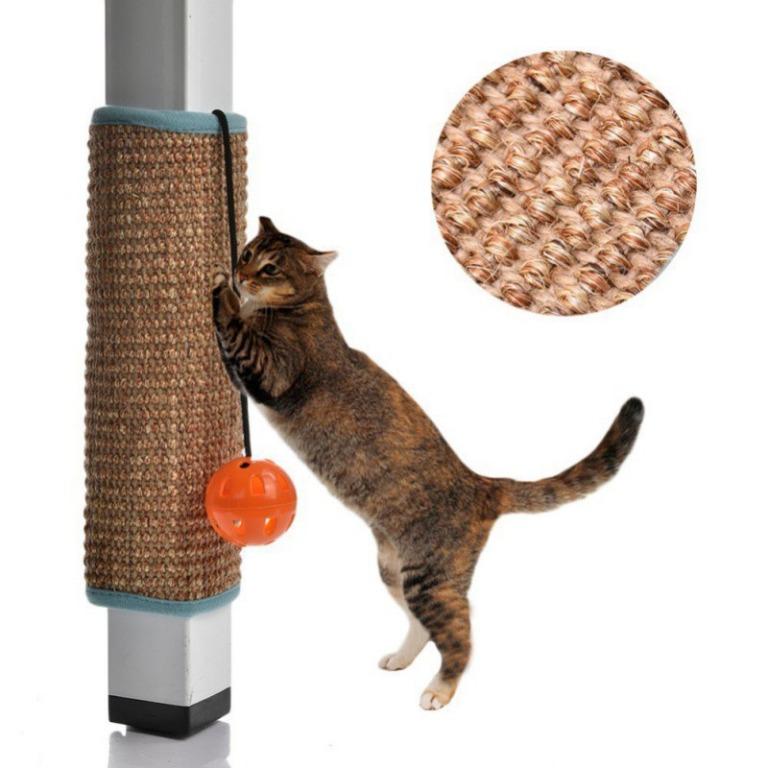 High chair online for cats
