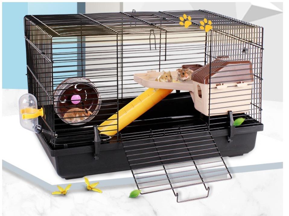 free guinea pig supplies