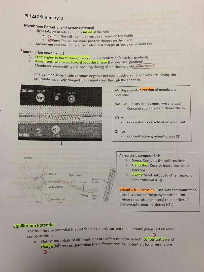 PL3232 Notes (A) (Category: Assessment Books) located in Singapore. Submitted by odairheis (Listing ID 270569268, Image 1). Description: PL3232 Biological Psychology Notes Took in AY19/20 Semester 1 under Dr Camilo Libedinsky (E-copy) Summaries of each chapter based on the lecture and tutorial notes, with 11 chapters in total - Useful for the weekly quizzes because you will know what is focused on - Summarised well with diagrams for visual aids -