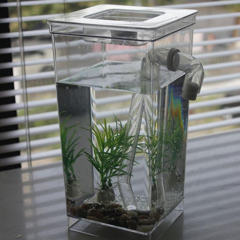 Self cleaning fish tank for goldfish discount