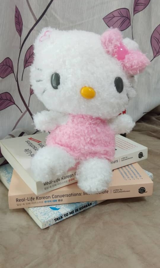 Molang plush tesco top