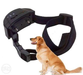 petrainer pet853 bark collar
