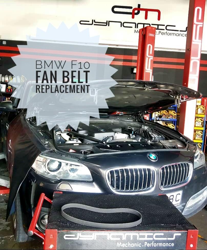 Bmw best sale fan belt
