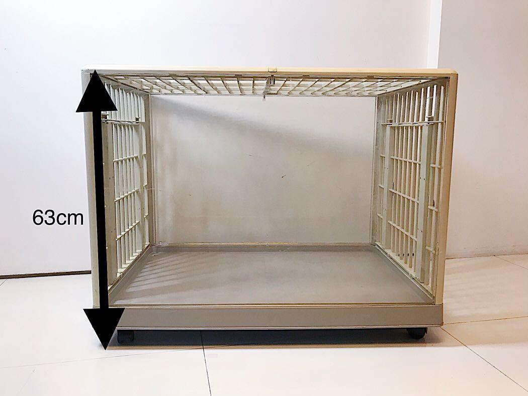 coloured dog cages