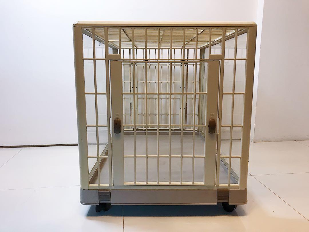 coloured dog cages