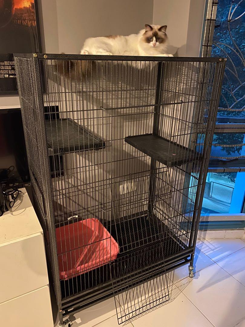 Heavy duty discount cat cage