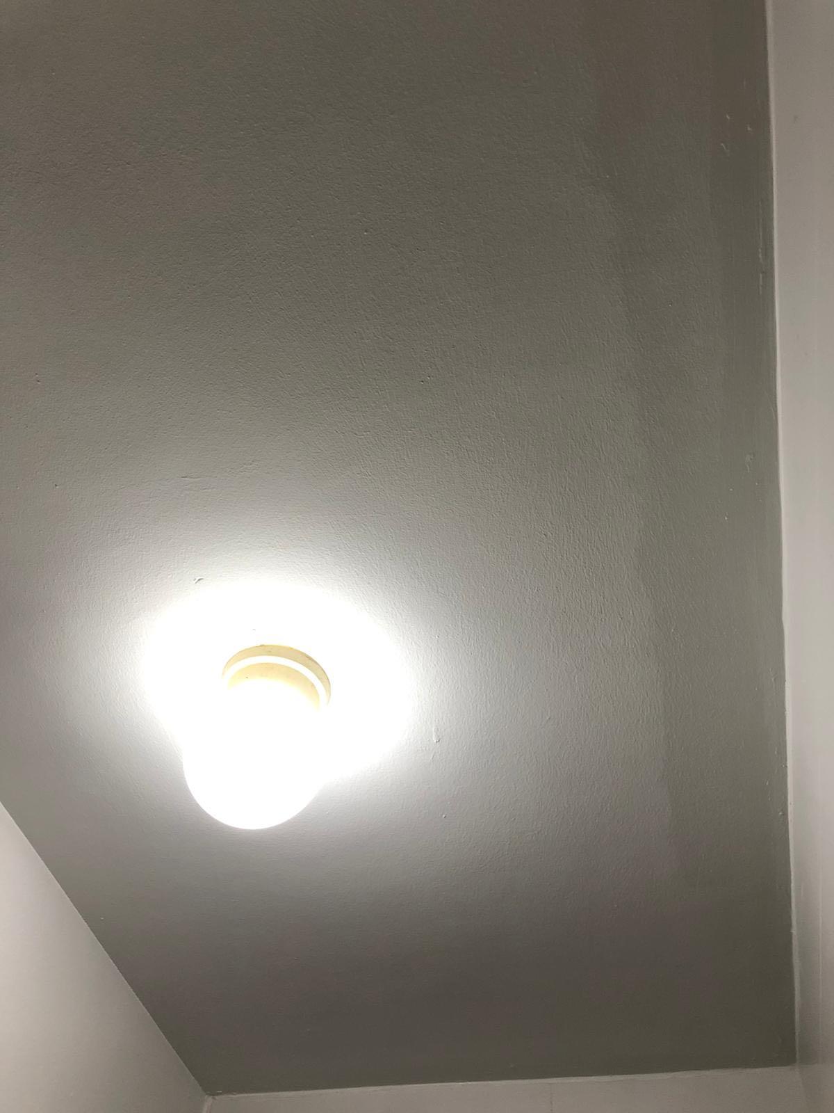 Painting Service for Mouldy Ceilings, Home Services, Renovations on