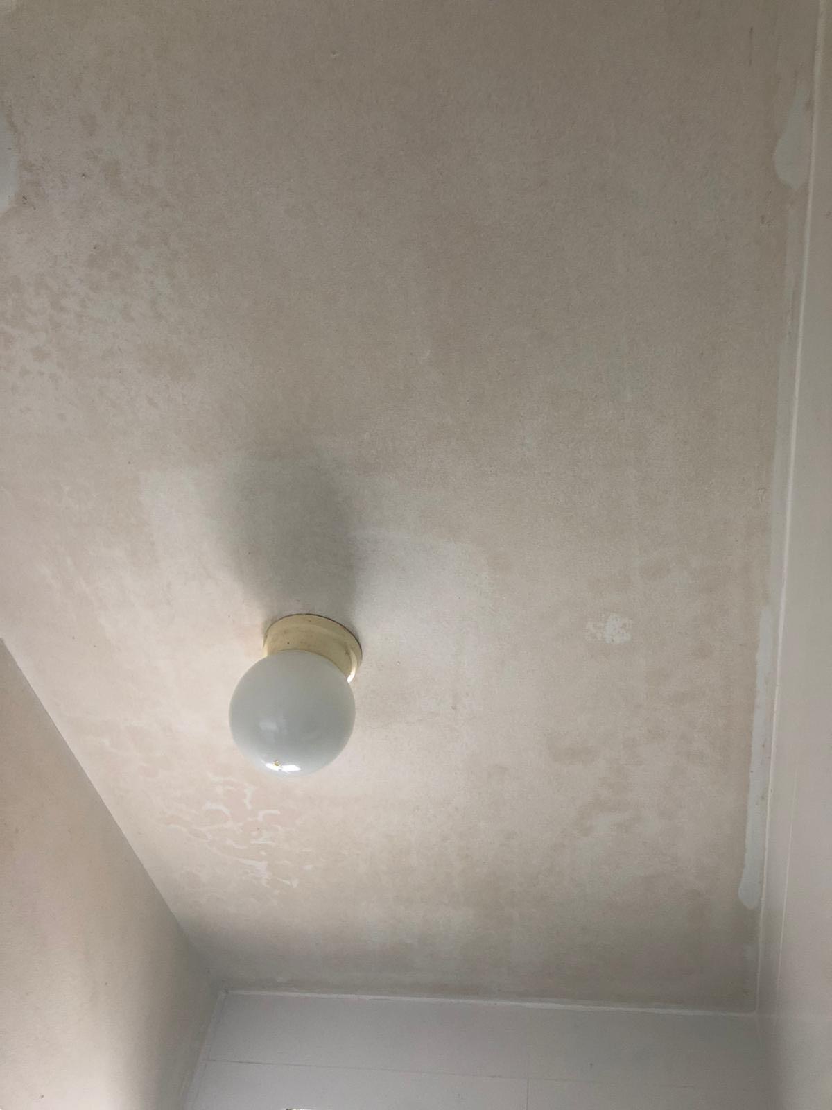 Painting Service for Mouldy Ceilings, Home Services, Renovations on
