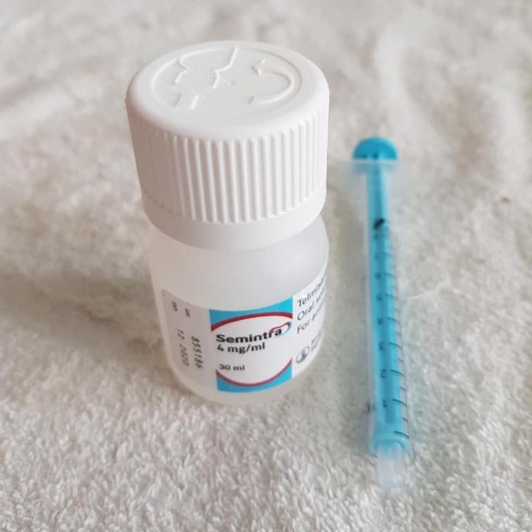 Semintra 4 mg/ml Oral Solution for Cats , Pet Supplies, Pet Food on