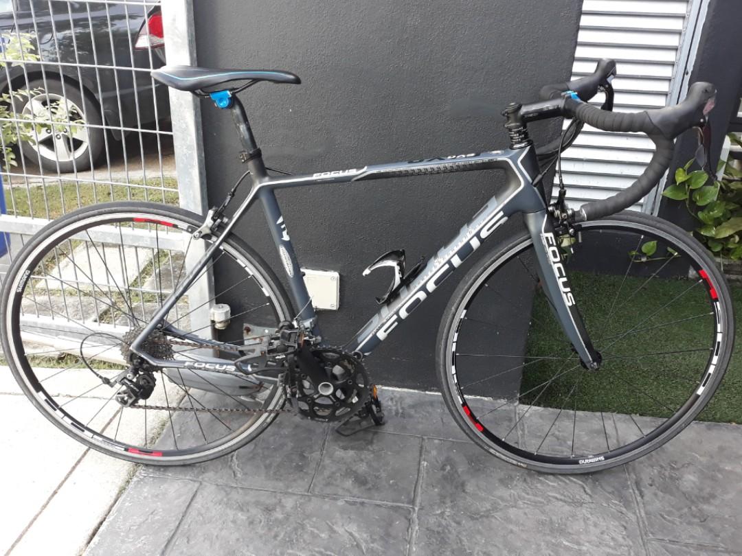 Focus cayo evo sale 6