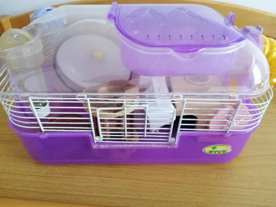 Hamster Stuff free to a good home Pet Supplies Homes Other Pet Accessories on Carousell