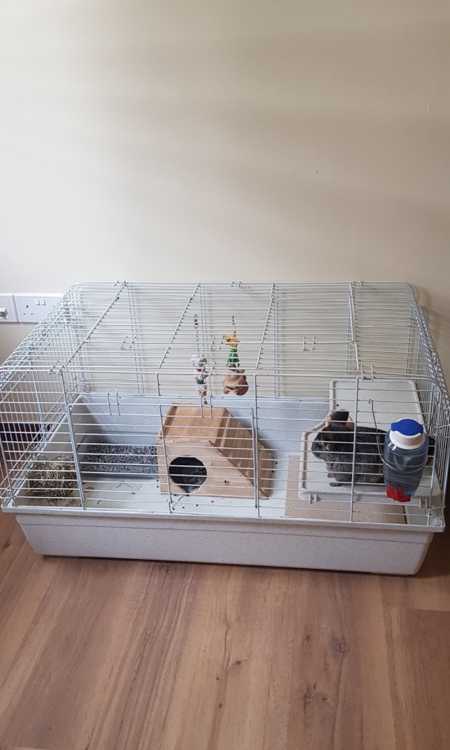Small Pets Boarding Canberra, Pet Supplies, Homes & Other Pet