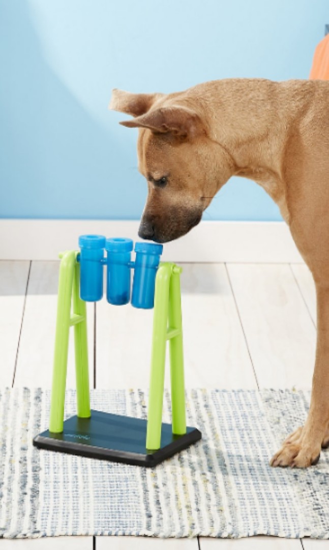 mad scientist dog toy