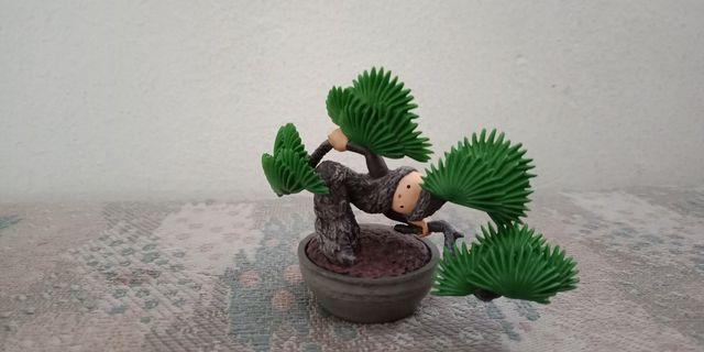 Get Pokok Kesinai Perlis PNG