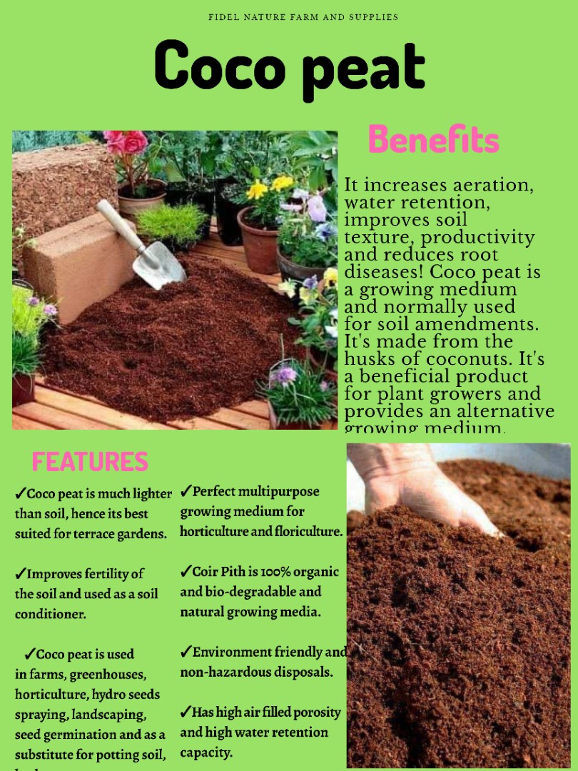 Coco peat Supplier, Furniture & Home Living, Gardening ...