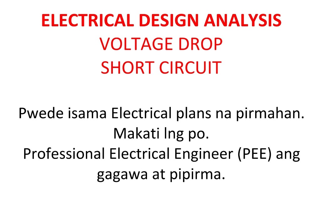 professional electrical engineer