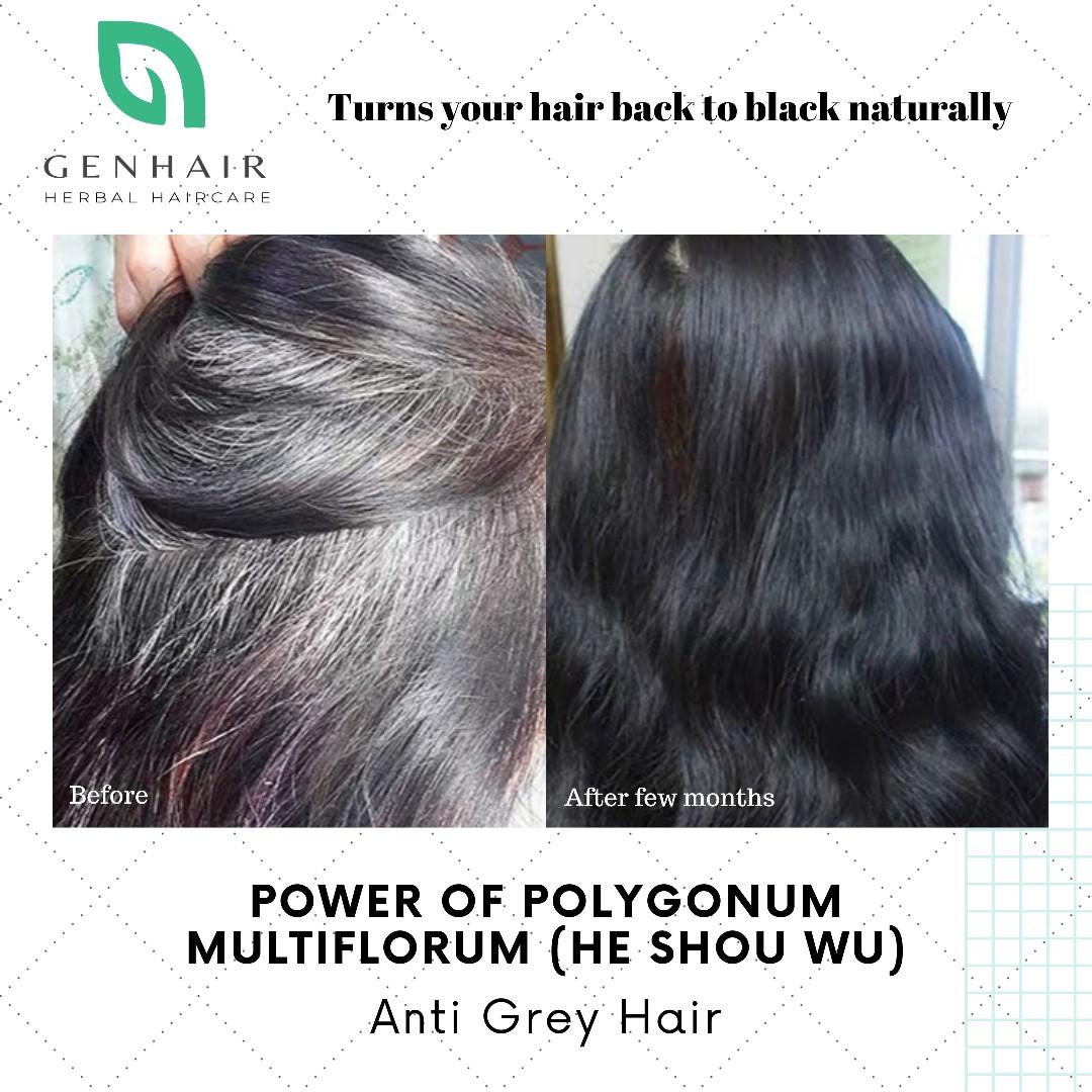 Genhair Organic Polygonum Ginseng Shampoo Bar - Anti Grey Hair (Reverse hair  aging so white/grey hair change back to original colour or black naturally),  Beauty & Personal Care, Hair on Carousell