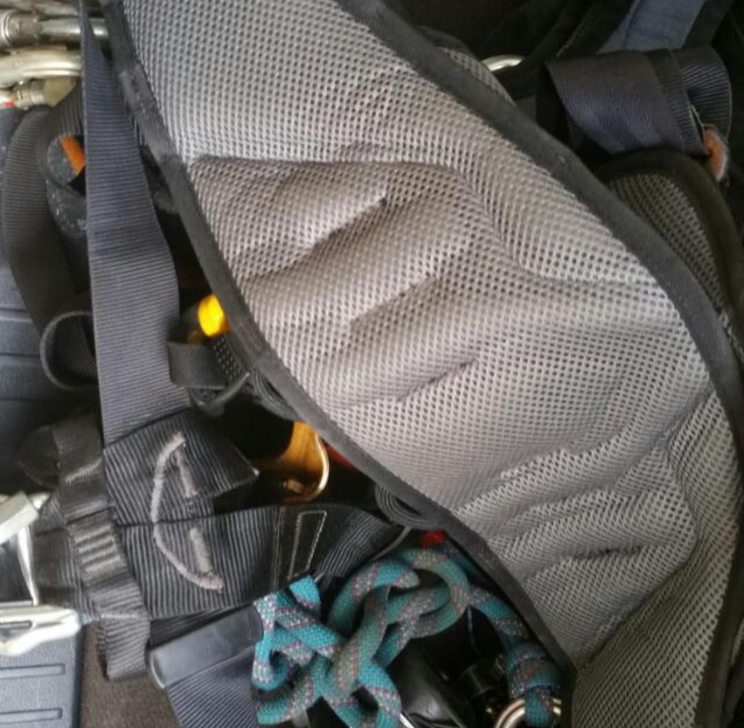 Petzl full harness, Everything Else on Carousell