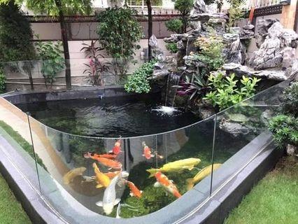 Koi Pond Construction View All Koi Pond Construction Ads In Carousell Philippines This fish is extremely popular in philippine markets, especially with the masses as they are relatively inexpensive and remarkably tasty. koi pond construction view all