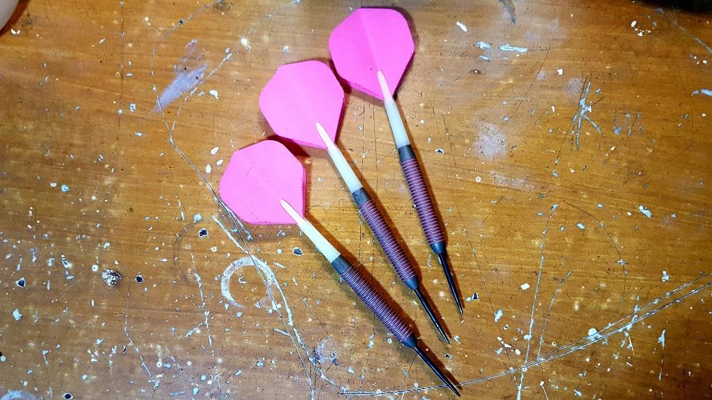 Winmau Tungsten Playboy Dart Pins 21g, Sports Equipment, Other Sports