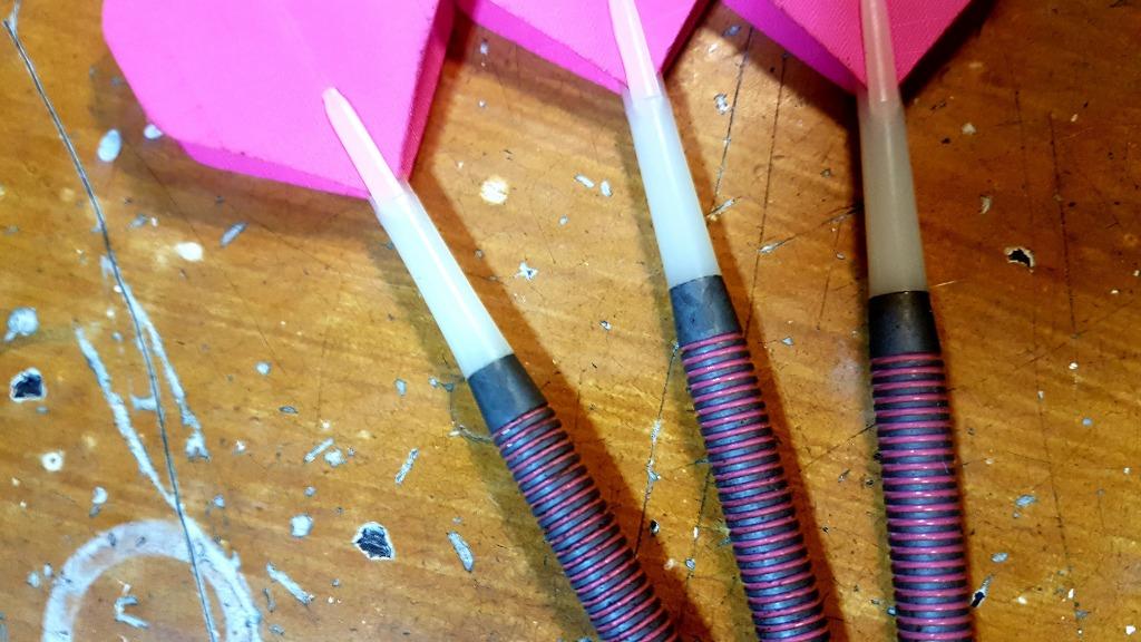 Winmau Tungsten Playboy Dart Pins 21g, Sports Equipment, Other Sports