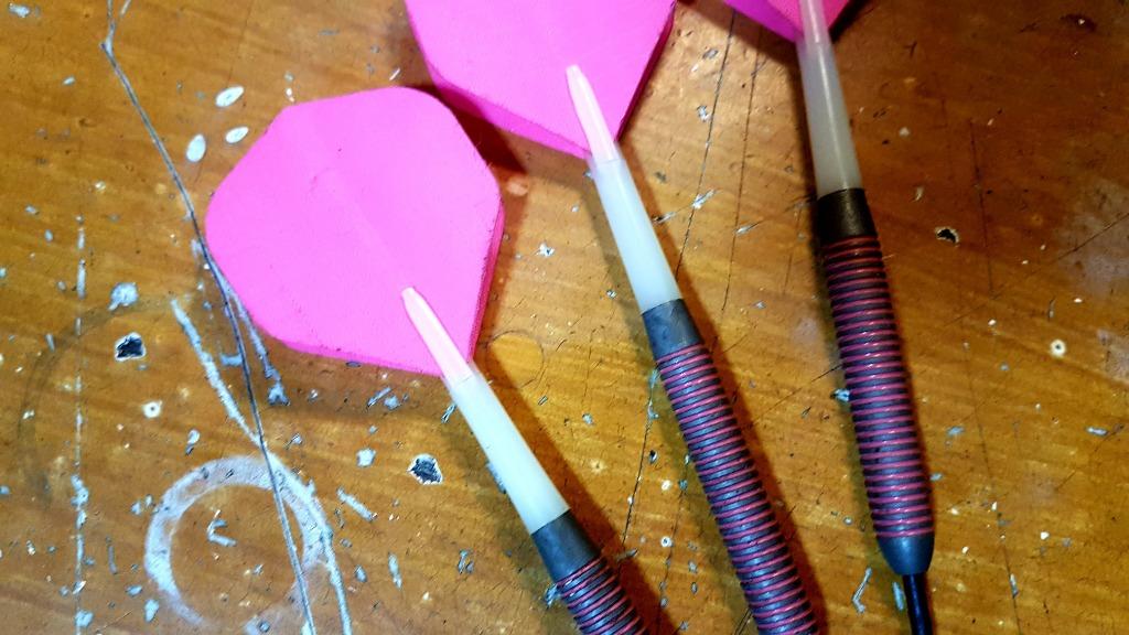 Winmau Tungsten Playboy Dart Pins 21g, Sports Equipment, Other Sports