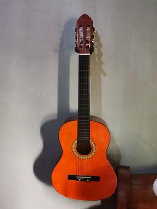 Classical/Acoustic guitar