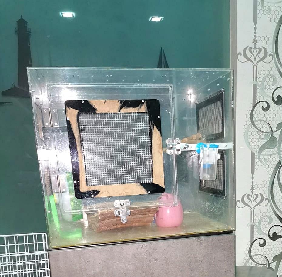Acrylic rabbit cage discount