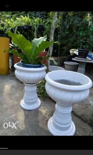 Planter Box Garden Tools Supplies Carousell Philippines