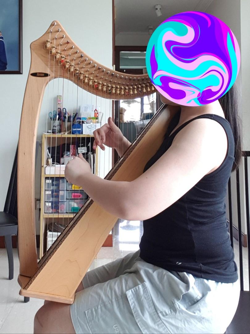 Aoyama Saul Lap Harp 25 String, Hobbies & Toys, Music & Media 