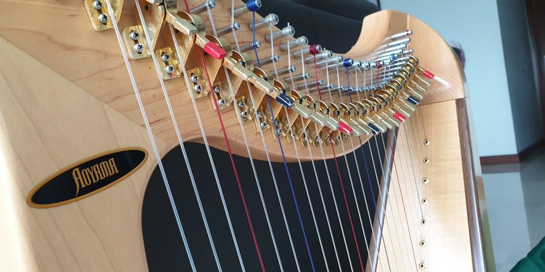 Aoyama Saul Lap Harp 25 String, Hobbies & Toys, Music & Media, Musical Instruments on Carousell