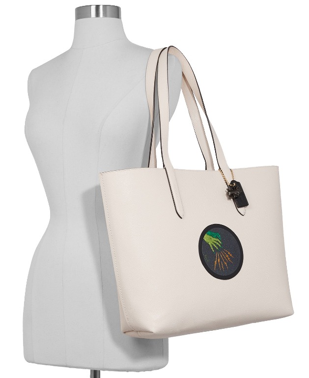 coach wizard of oz bag