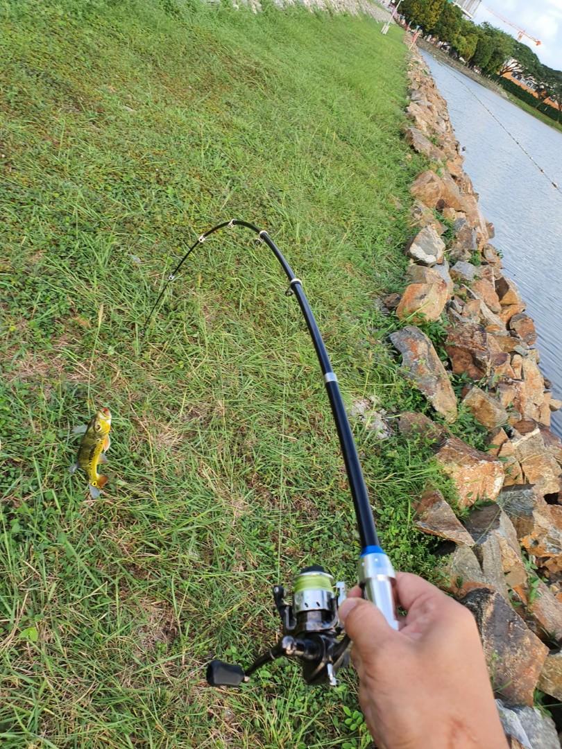 Mini Portable Pocket Fishing Rod and Reel Combos with Fishing Line Hook,  Sports Equipment, Fishing on Carousell